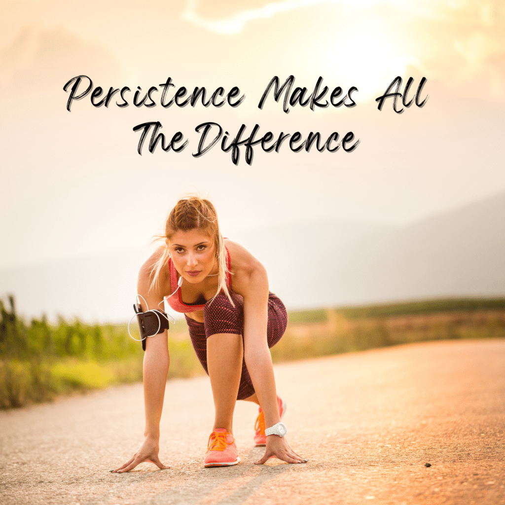 Persistence Makes All The Difference - reach your goals