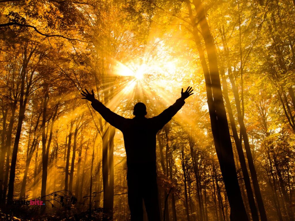 A man up his two hands in front of the nature and sunlight