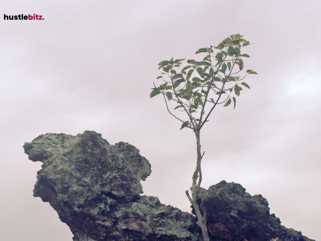 A small tree growing out of a rocky cliff.