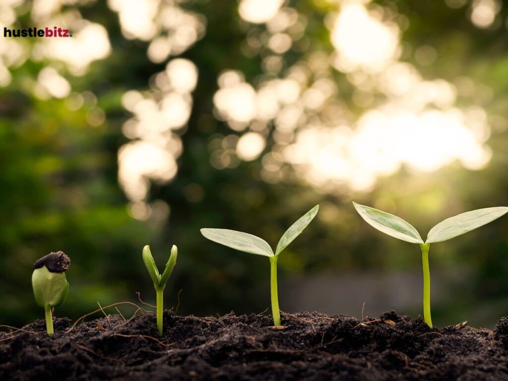 A stages of growing plants.