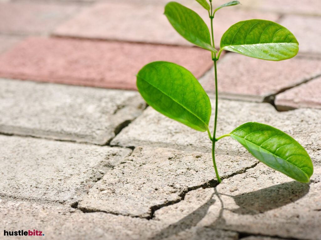 A growing plant in the crack of road bricks.