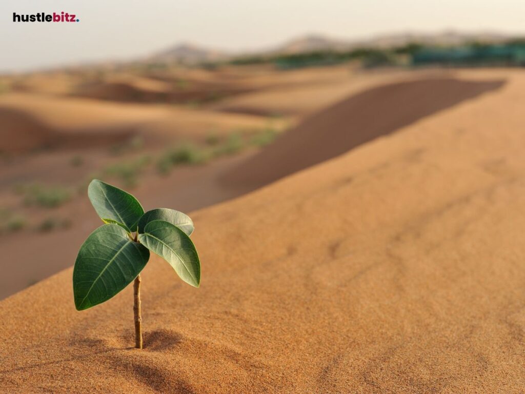 A small plant sprouting in a sandy desert.