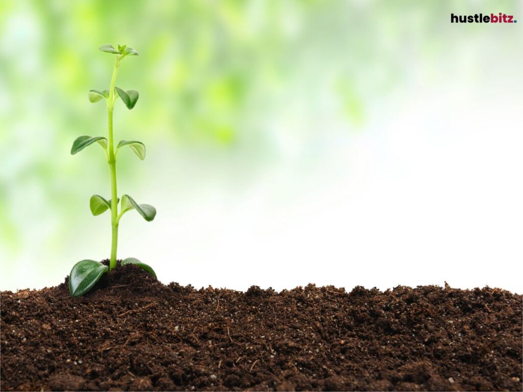 A small plant sprouting from soil.