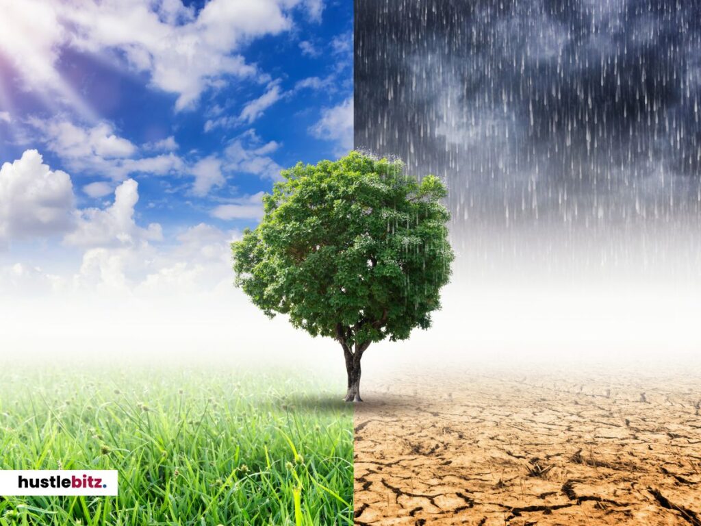 A tree standing between the two seasons