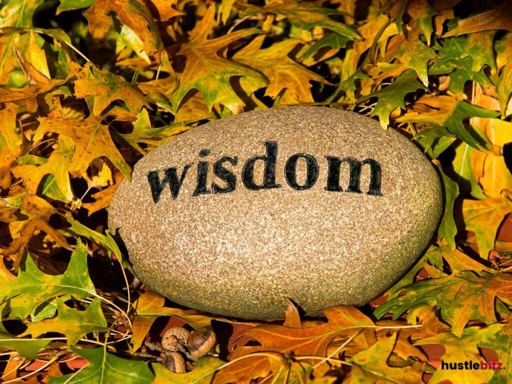 A rock with the word "Wisdom" inscribed on it, surrounded by autumn leaves.
